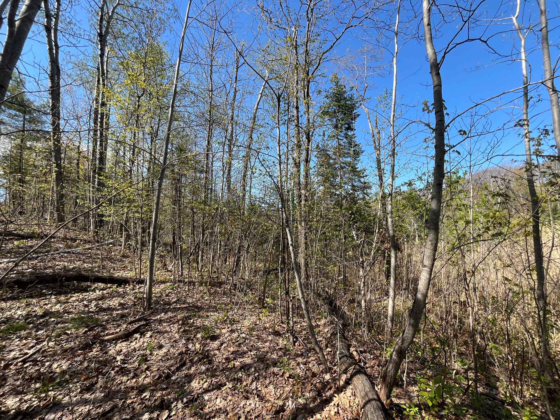 Land in Saint-Lin/Laurentides 2