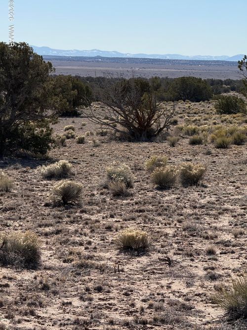 TBD N6549, St. Johns, AZ, 85936 | Card Image