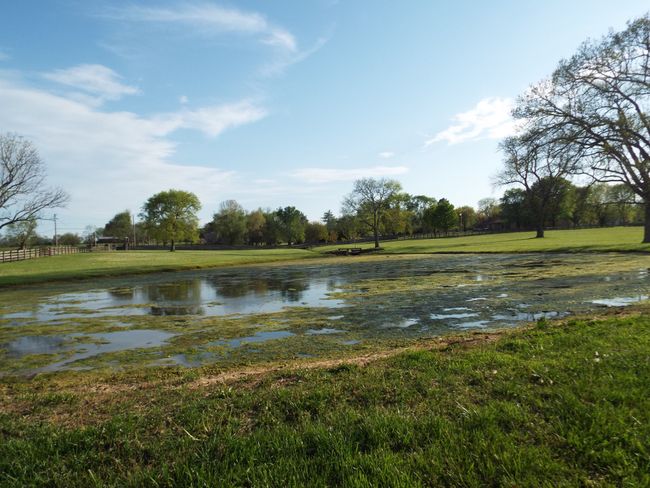 pond | Image 24