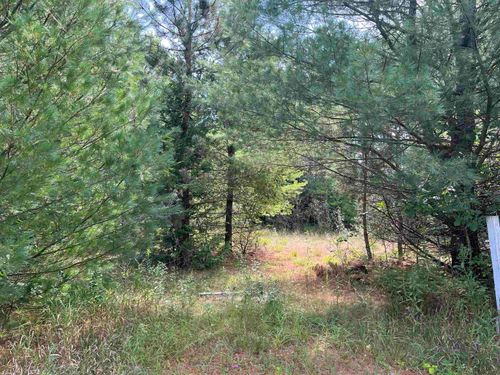 0 Cedar Lake Rd, Greenbush, MI, 48738 | Card Image