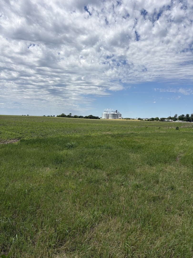 Farm in Peotone 4