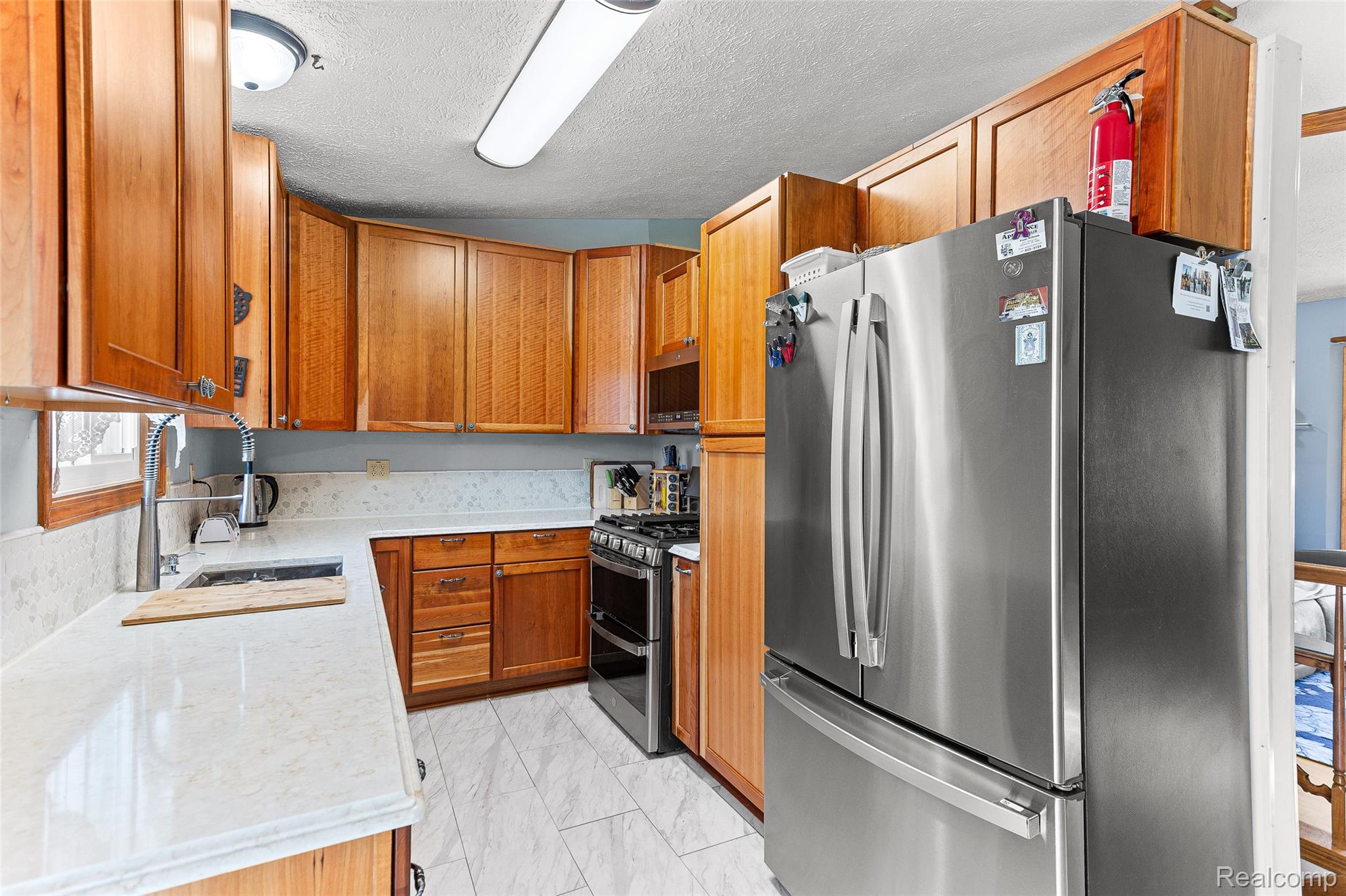 Residential in Alaiedon Township 5