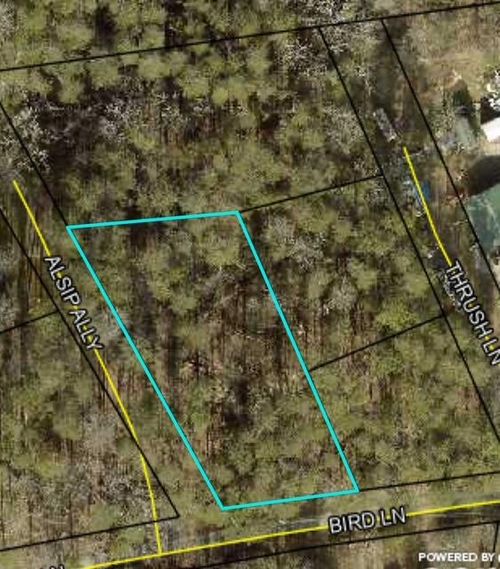 78 Bird Ln, Burnside, KY, 42519-9111 | Card Image