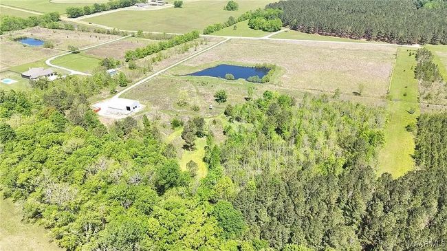 344 Dani Ln, Home with 0 bedrooms, 0 bathrooms and null parking in Mathews AL | Image 4