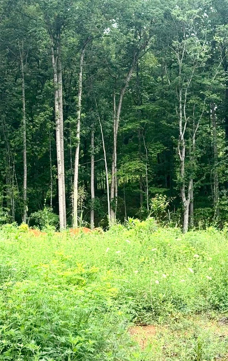 Land in Bedford 3