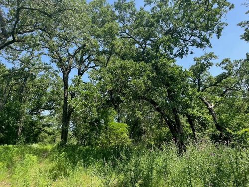 Lot 44 Antrim Ct, Poolville, TX, 76487 | Card Image