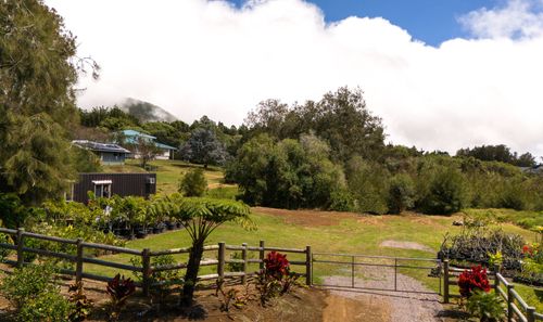 64-5288 Mokuloa Dr, Kamuela, HI, 96743-7914 | Card Image