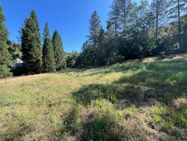 0 Crest View Dr, Home with 0 bedrooms, 0 bathrooms and null parking in Murphys CA | Image 33
