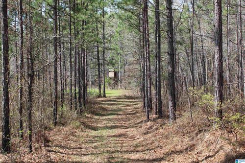 1-0 Danny Holman Rd, Rockford, AL, 35136 | Card Image