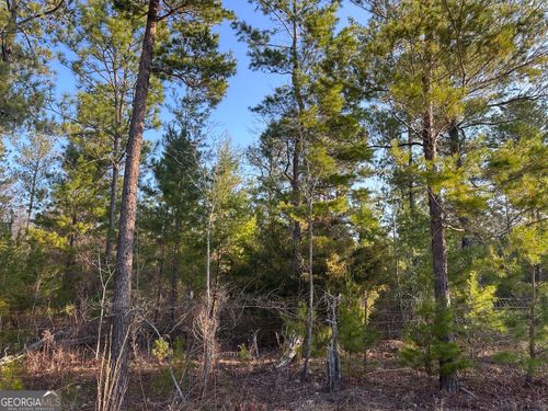 11-acres-PARCEL #4 Horne Road, Roberta, GA, 31078 | Card Image