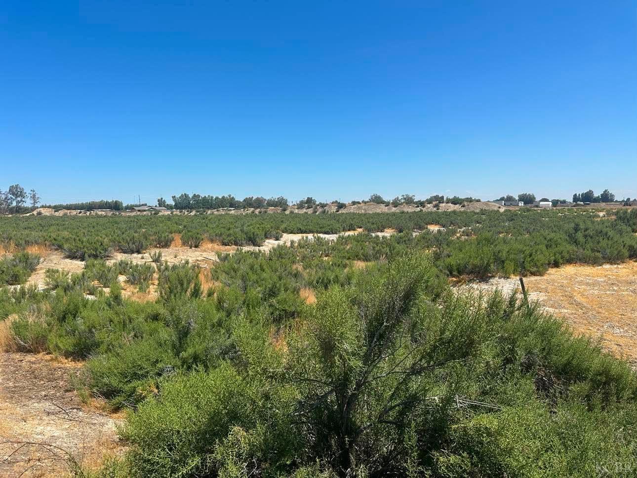 Land in Lemoore 2
