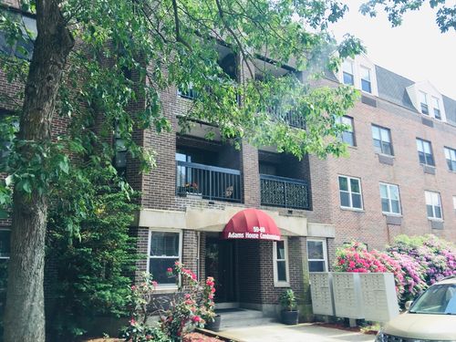 apt-306-69-59--69 Msgr Patrick J Lydon Way, Boston, MA, 02124-2596 | Card Image