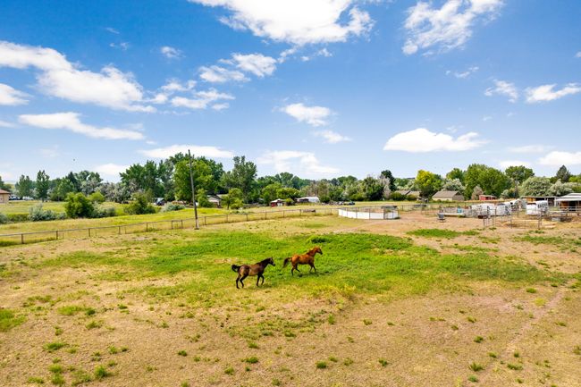 View of yard with an enclosed area, fence, and a rural view | Image 34