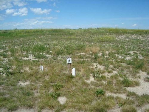 516 Coulee Trail, Stavely, AB, T0L1Z0 | Card Image