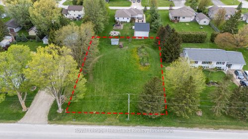 {{alt}} | Card Image