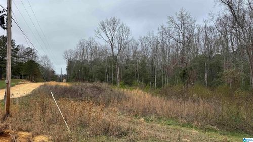0-2187 County Road 340, Maplesville, AL, 36750-2624 | Card Image