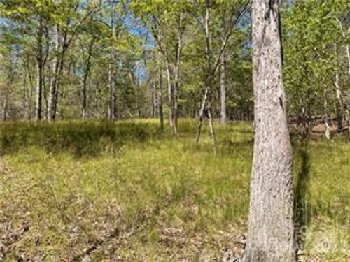 37-0000 Zachary Ln, Rutherfordton, NC, 28139 | Card Image