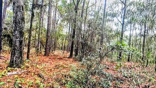 2871 W Sunkist Ln, DUNNELLON, FL, 34433-3031 | Card Image