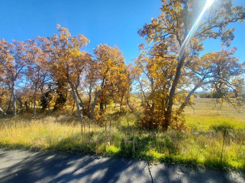 248 N Spring Dr, Kolob, UT, 84767 | Card Image