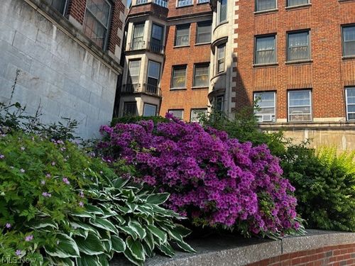 b1-b2-11430 Cedar Glen Pkwy, Cleveland, OH, 44106-2660 | Card Image