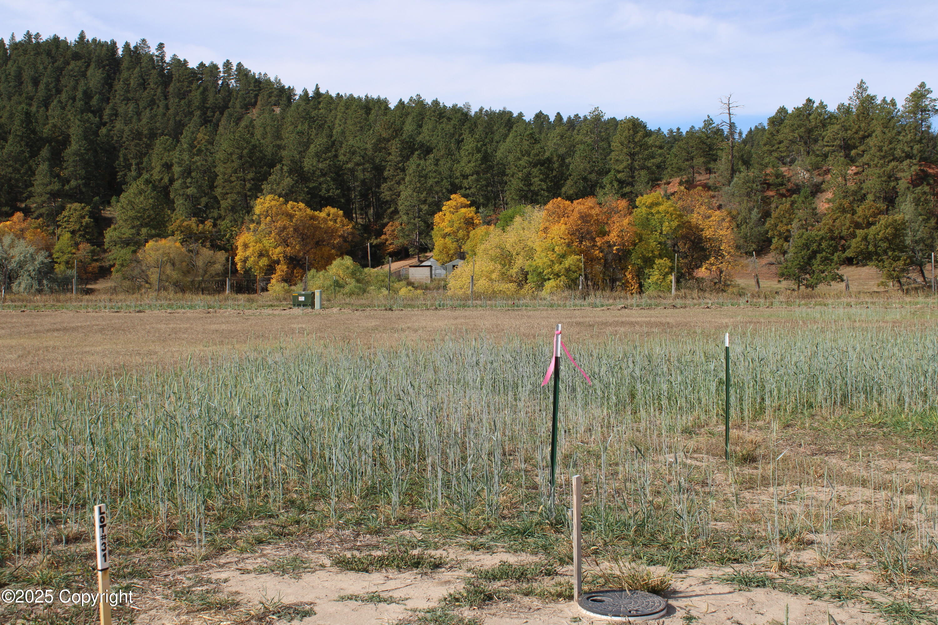 Land in Hulett