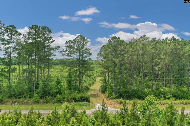 0000 N Brewington Rd, Home with 0 bedrooms, 0 bathrooms and null parking in Manning SC | Image 8
