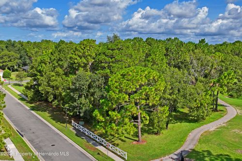 15049 Woodthorn Pass, BROOKSVILLE, FL, 34609-9523 | Card Image