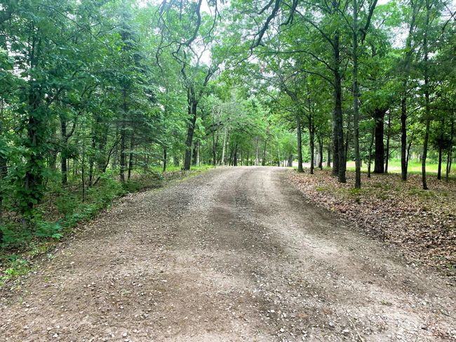 164th driveway .jpeg | Image 5