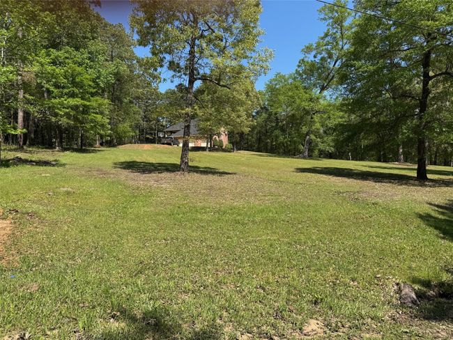18050 Deer Trl, House other with 4 bedrooms, 3 bathrooms and null parking in Flint TX | Image 6
