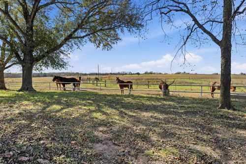 6921 Schulz Ln, Bleiblerville, TX, 78931-5050 | Card Image