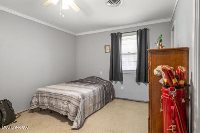 primary | Image 7