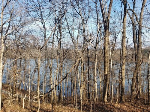 0 Refuge South Rd, Dover, TN, 37058 | Card Image