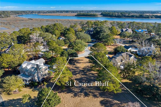 31 Carrier Blf, Home with 0 bedrooms, 0 bathrooms and null parking in Bluffton SC | Image 8