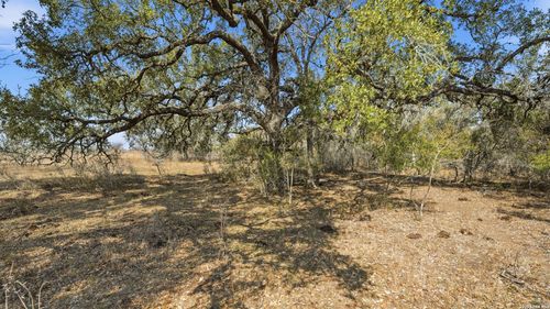 TBD Hohn Rd, Nordheim, TX, 78141 | Card Image