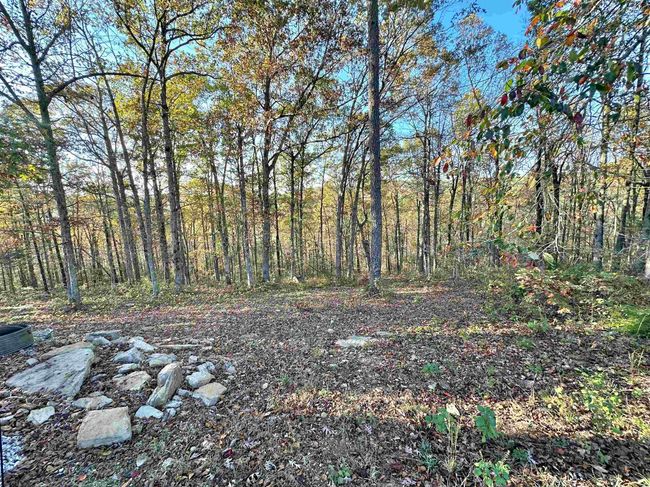 8997 Highway 9, House other with 2 bedrooms, 2 bathrooms and null parking in Mountain View AR | Image 39
