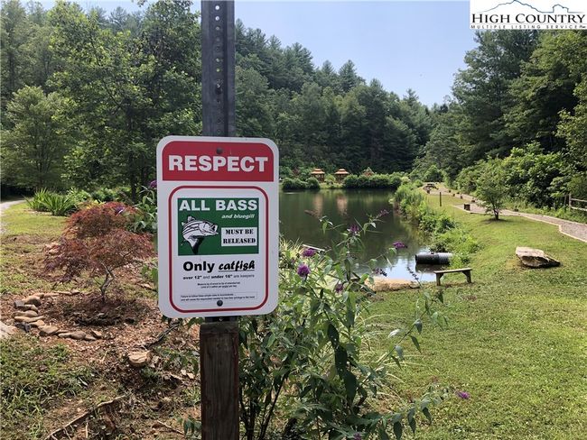 Spend the day fishing in the stocked pond (catch & release). | Image 36