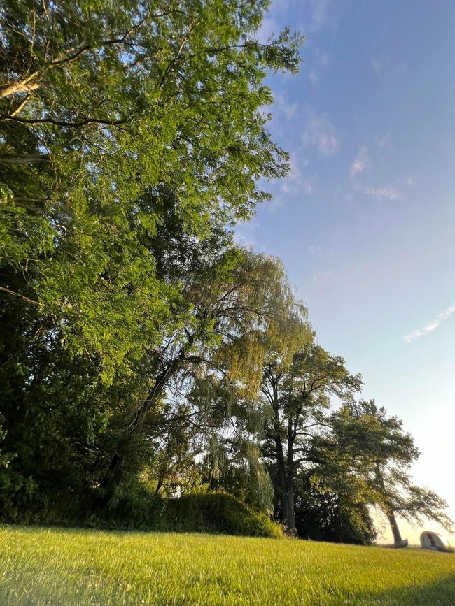 0 Norton Road, Home with 0 bedrooms, 0 bathrooms and null parking in Radnor OH | Image 24