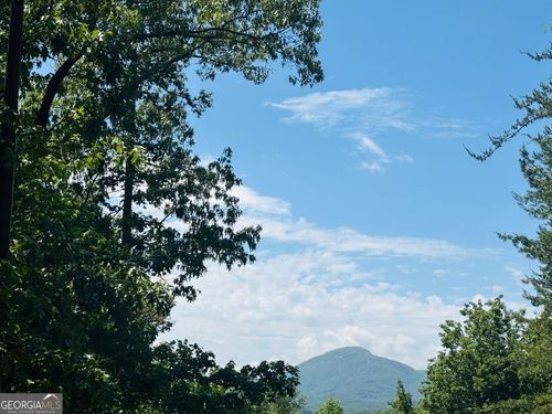 0 Rosen Strasse, Helen, GA, 30545 | Card Image