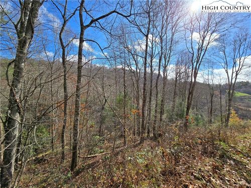 Lot 24 & 25 Riverstone, Laurel Springs, NC, 28644 | Card Image