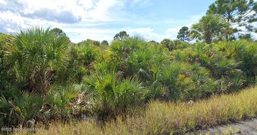 982 Astilbe St Sw, Palm Bay, FL, 32908 | Card Image
