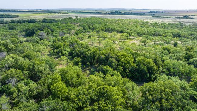 801 State Highway 153, House other with 4 bedrooms, 2 bathrooms and null parking in Wingate TX | Image 30