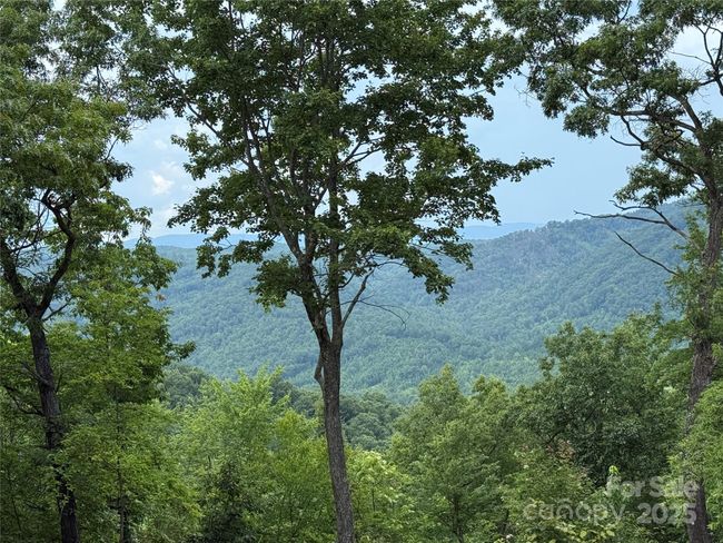 View from 337 Lucas Path Drive | Image 10