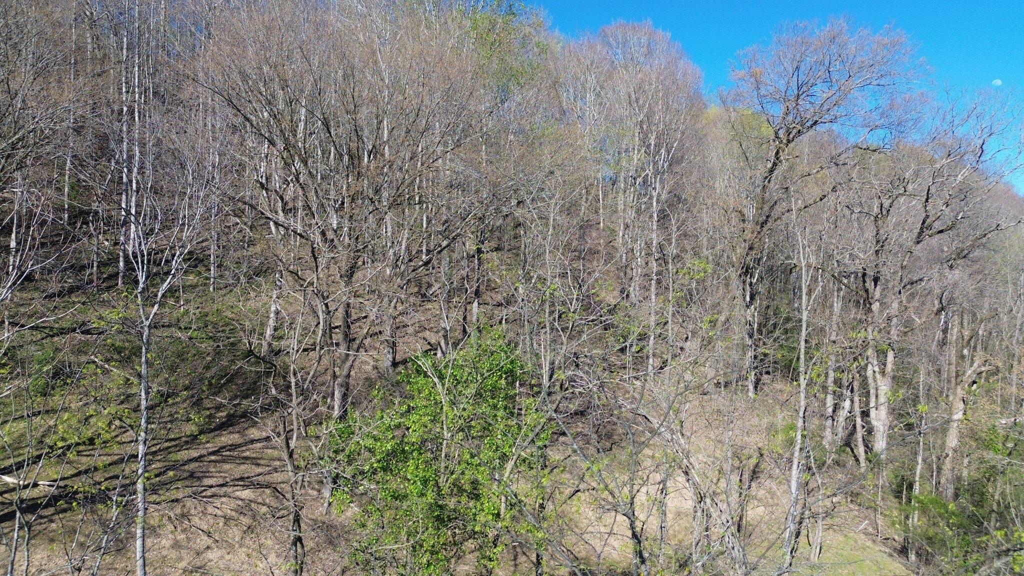 Land in Smithville 3