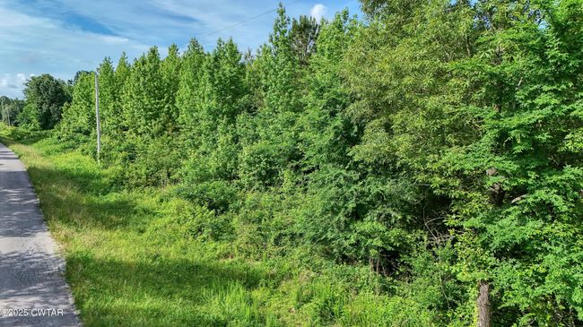 0 Ables Rd, Home with 0 bedrooms, 0 bathrooms and null parking in Cottage Grove TN | Image 17