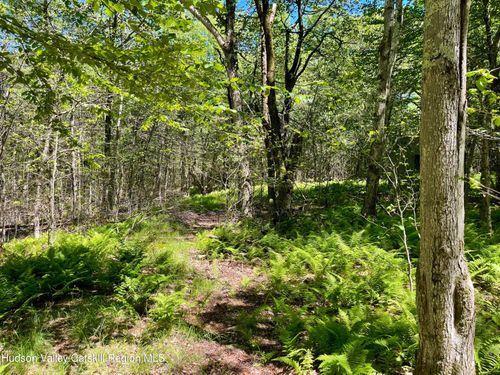 3045 Red Hill Rd, Grahamsville, NY, 12740 | Card Image