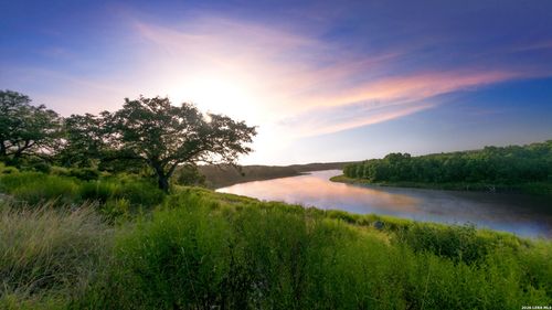 2287 San Jose Way, Canyon Lake, TX, 78133-3019 | Card Image