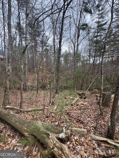 LOT 16R Leatherwood Mountain Rd, Cherry Log, GA, 30522 | Card Image