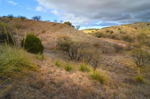 5 Tanglehead Ln, Patagonia, AZ, 85624 | Card Image