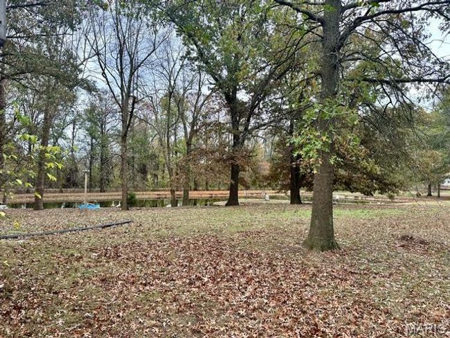 View of yard | Image 6