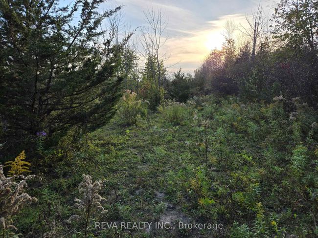 782 Shannon Rd, Home with 2 bedrooms, 1 bathrooms and 10 parking in Plainfield ON | Image 6